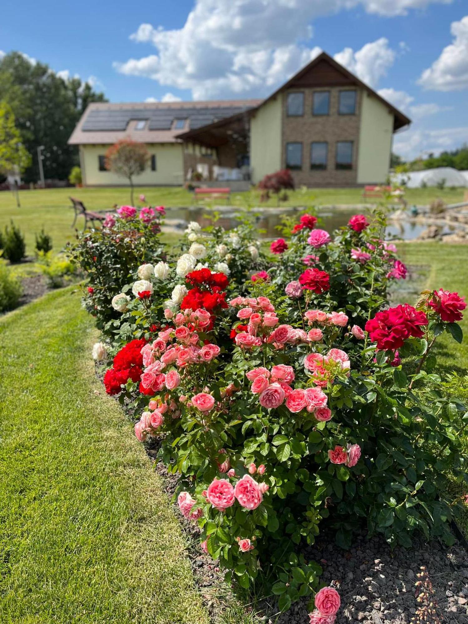 Auróra Rendezvényterem&Szállás Jászapáti Exterior foto